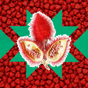 Achiote
