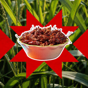 Chapulines