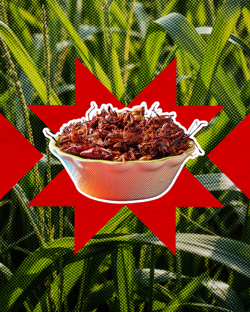 Chapulines