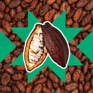Cacao