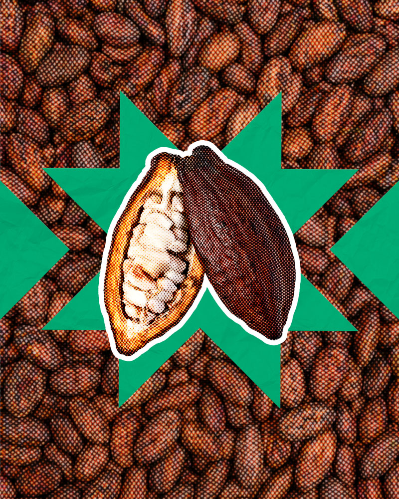 Cacao