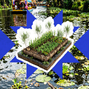 Chinampas