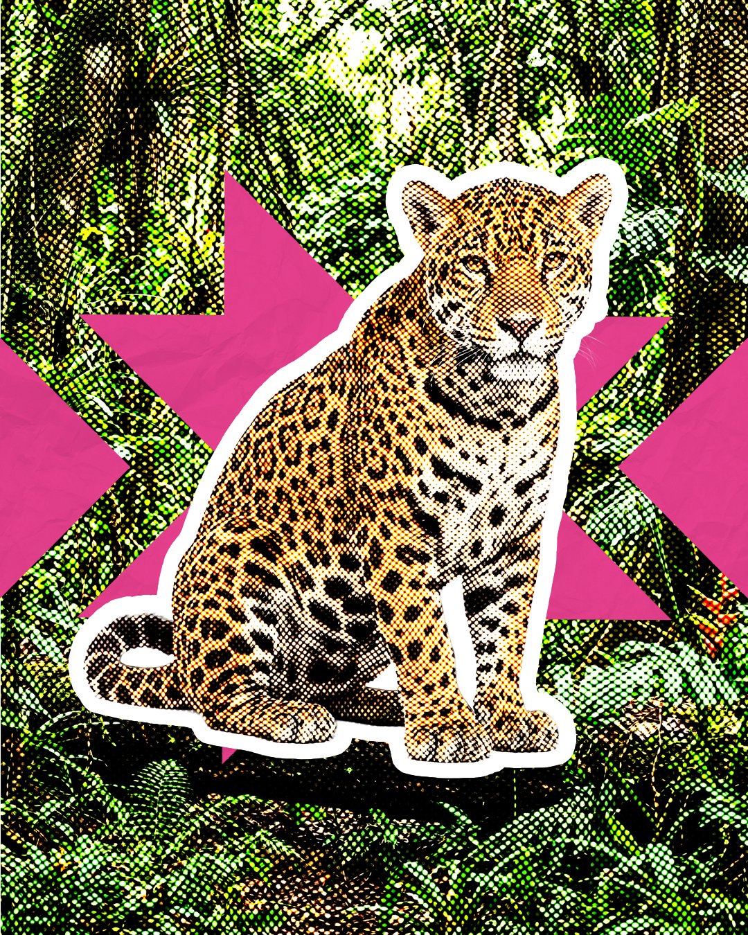 Jaguar