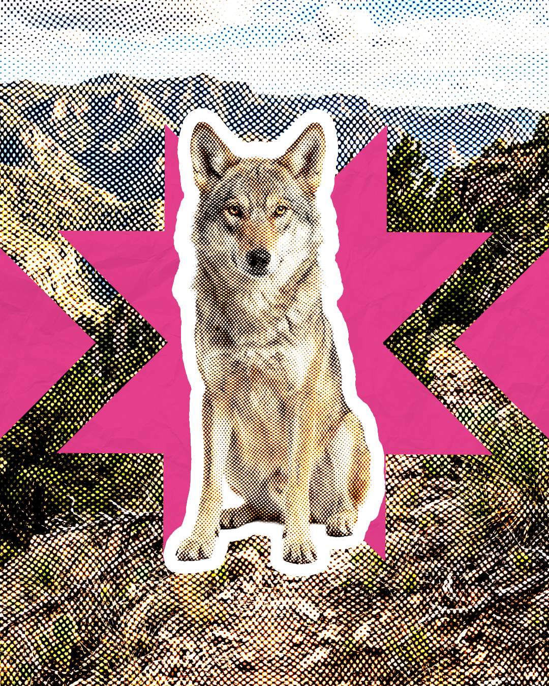 Lobo Mexicano