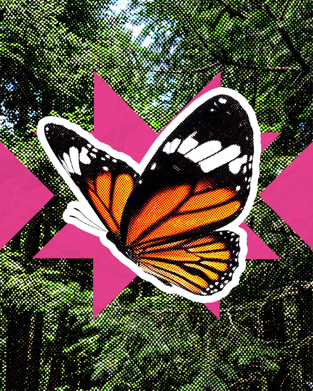 Mariposa Monarca