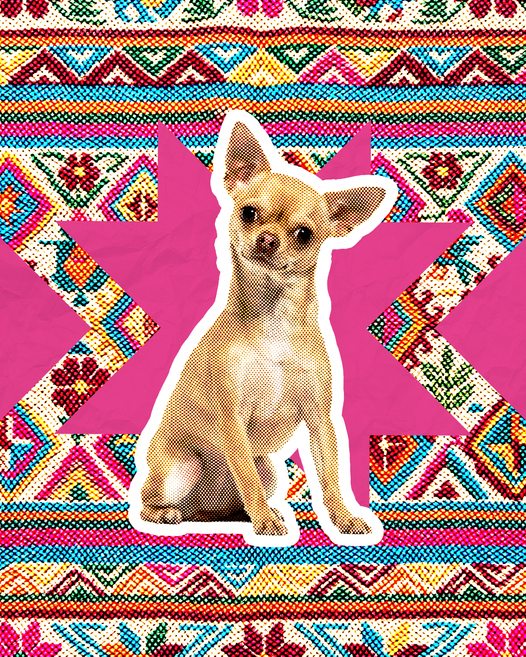 Perro Chihuahua