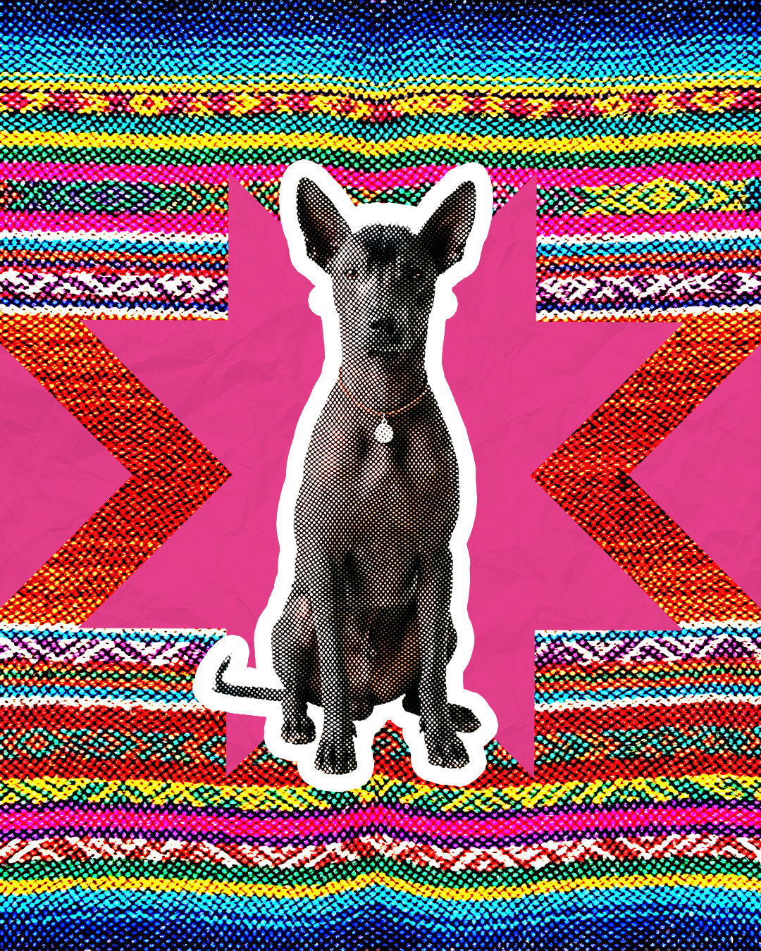 Xoloitzcuintle