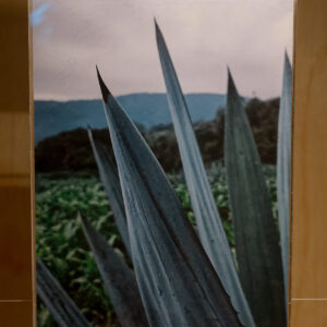 ERAS MEZCAL, 2021