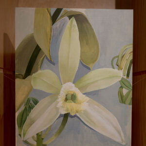 “Orquídea vainilla”, 2026